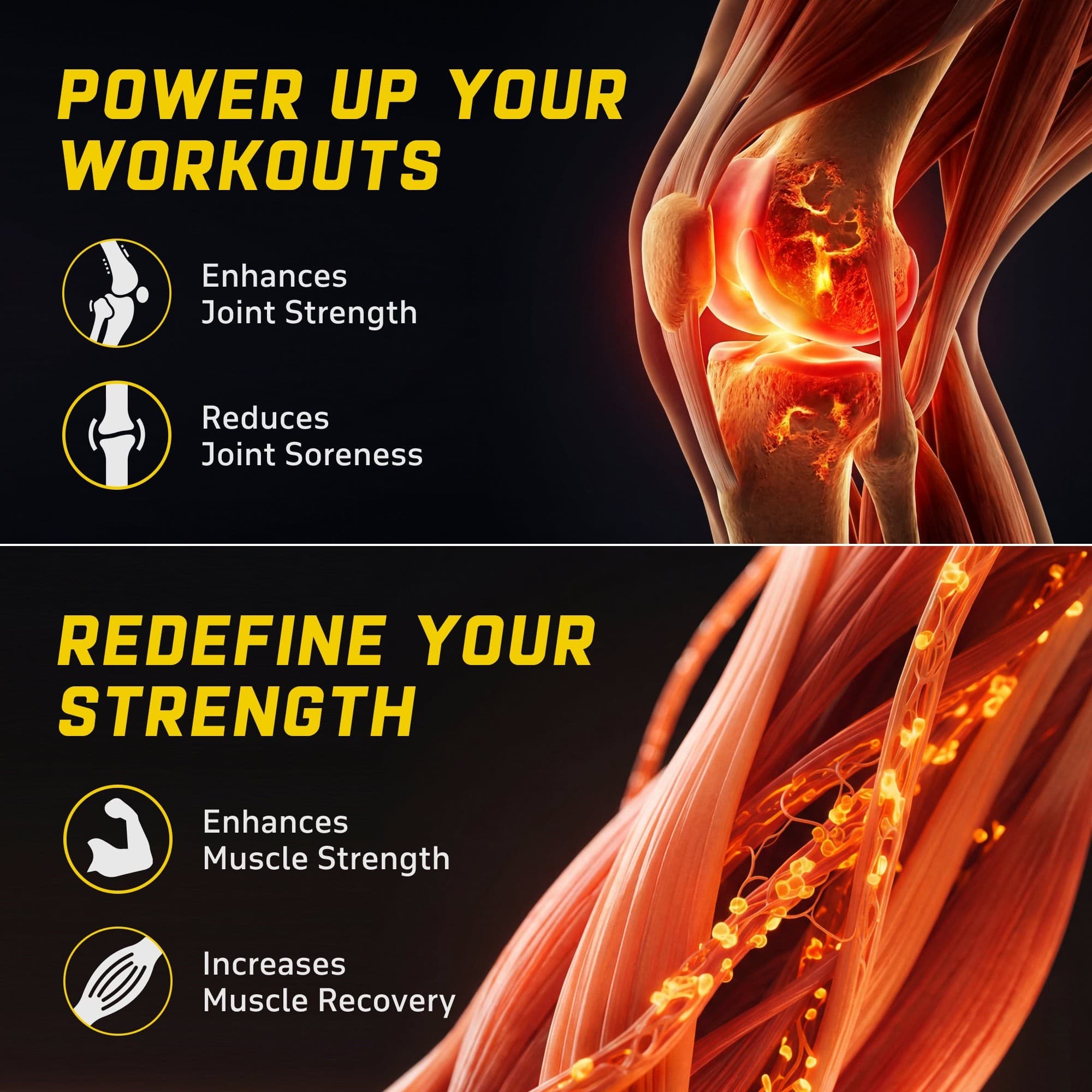 YouWeFit Omega-3 Alpha Recovery Capsules